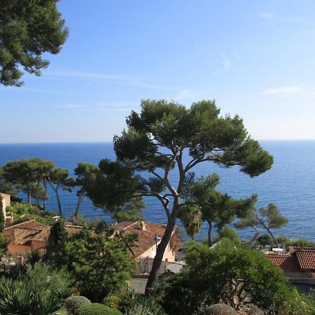 Bed and Breakfast Les Bruyeres Saint-Mandrier-sur-Mer Zewnętrze zdjęcie