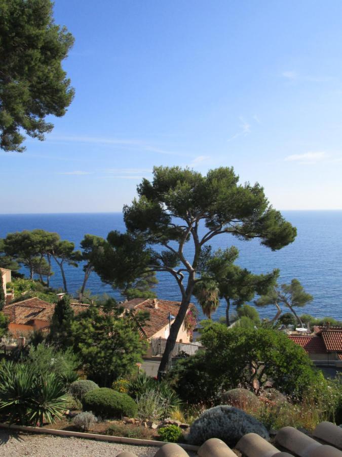 Bed and Breakfast Les Bruyeres Saint-Mandrier-sur-Mer Zewnętrze zdjęcie